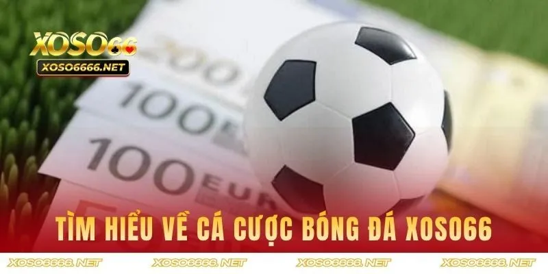 Tìm hiểu đôi nét về hình thức cá cược bóng đá XOSO66